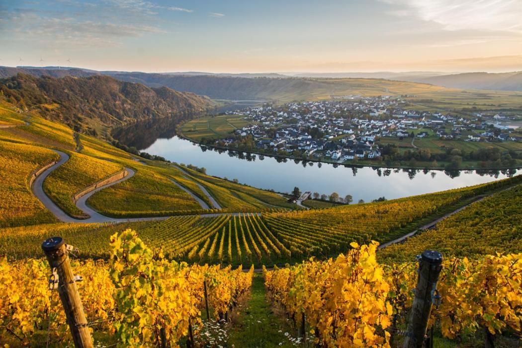 Hotel- Weingut- Moselloreley 2* Piesport